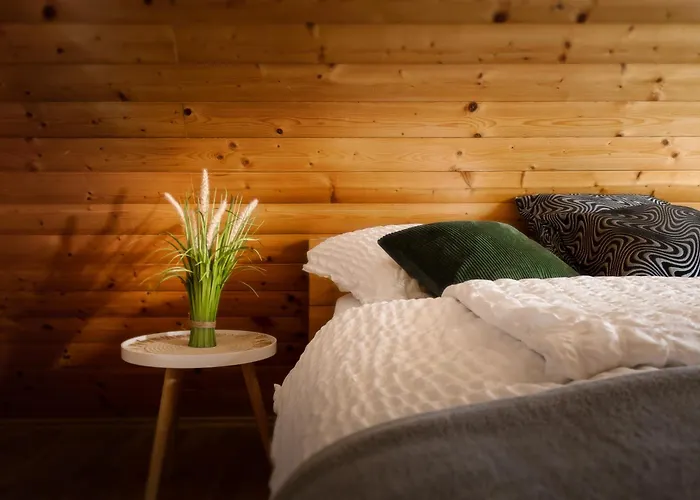 Panoramic View Heated Pool, Swimspa & Sauna